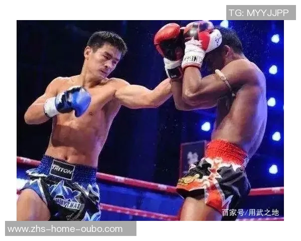 西提猜与董文飞激战正酣谁将成为新一届拳坛霸主的王者之争